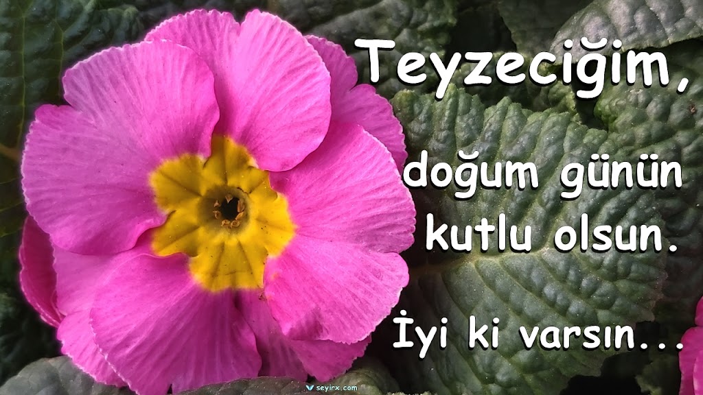 İyiki Doğdun Teyze Resimli Tebrik Mesajları