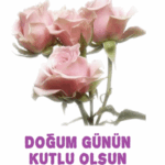 Doğum günü pembe gül gif resim