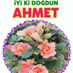 iyiki doğdun Ahmet