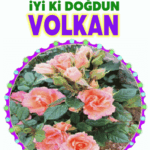 iyiki doğdun Volkan