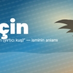 Laçin isminin anlamı