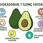 Avokadonun 7 İlginç Faydası
