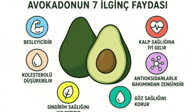 Avokadonun 7 İlginç Faydası