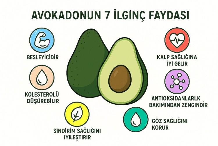 Avokadonun 7 İlginç Faydası