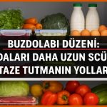 Buzdolabı düzeni