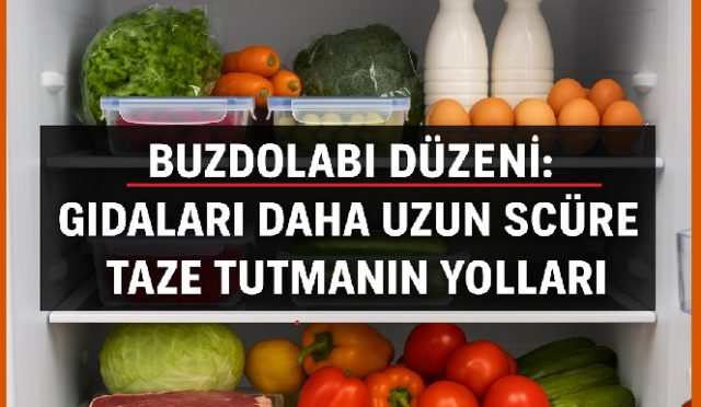 Buzdolabı düzeni