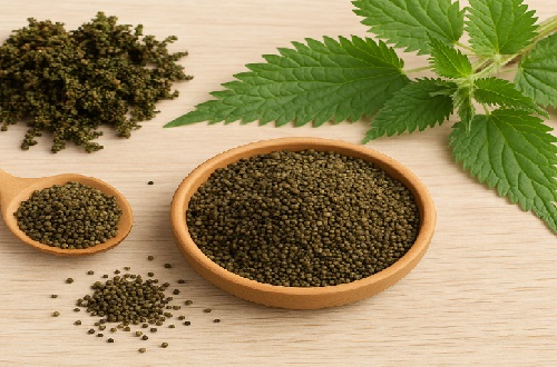 Isırgan Tohumu Faydaları