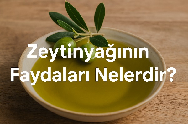 Zeytinyağının Faydaları Nelerdir?