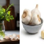 Gerçek Hayatta İşe Yarayan Bilgiler