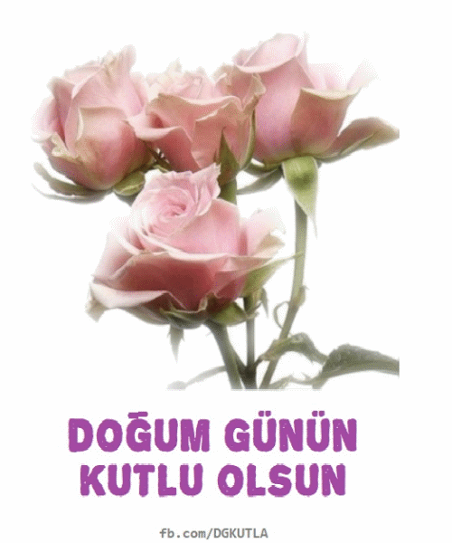 Doğum günü pembe gül gif resim