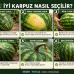 İyi Karpuz Nasıl Seçmenin Püf Noktaları